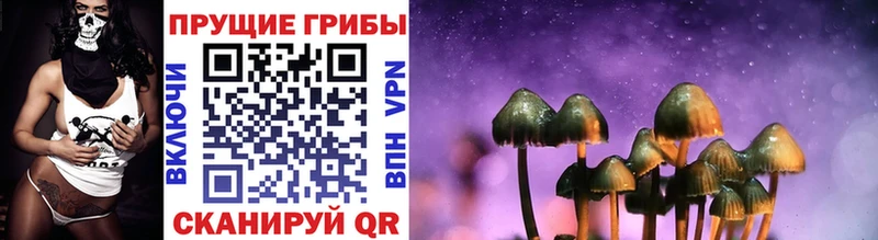 Купить закладки  Отрадный  Галлюциногенные грибы GOLDEN TEACHER 